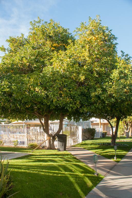 Tuscany Manor Palm Springs Zewnętrze zdjęcie